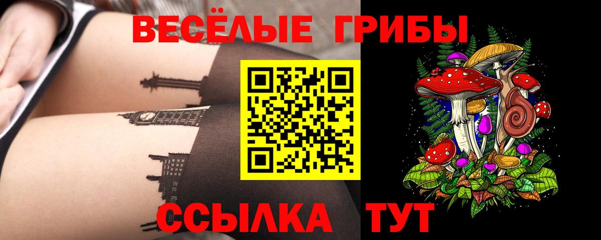 Псилоцибиновые грибы ЛСД  что такое   Унеча  Вход с VPN  Псилоцибиновые грибы ЛСД 